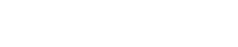 Smart Access Logo